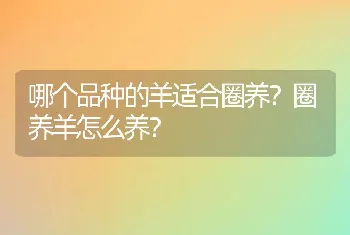 哪个品种的羊适合圈养？圈养羊怎么养？