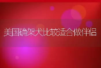 美国确架犬比较适合做伴侣