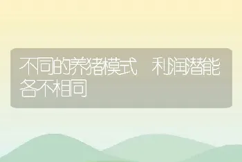 不同的养猪模式 利润潜能各不相同