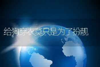 给狗穿衣莫只是为了扮靓