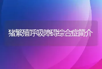 猪繁殖呼吸障碍综合症简介