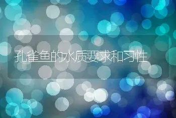 孔雀鱼的水质要求和习性