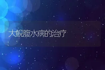 大鲵腹水病的治疗