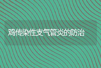 鸡传染性支气管炎的防治