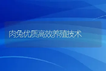 养猪的效益与技术措施