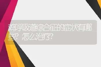 鸡呼吸道综合征的症状有哪些?怎么治疗?