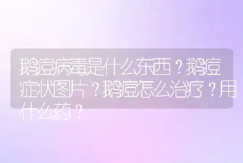 鹅痘病毒是什么东西？鹅痘症状图片？鹅痘怎么治疗？用什么药？