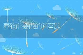 养狗前要做的问答题