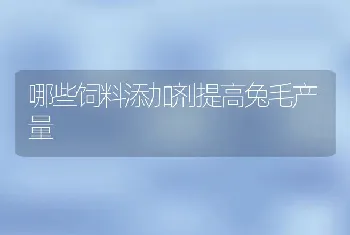 哪些饲料添加剂提高兔毛产量