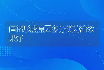 僵猪形成原因多分类防治效果好