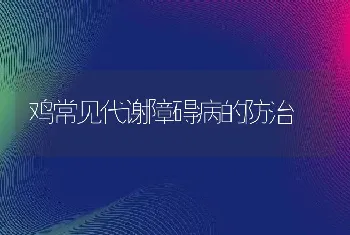 鸡常见代谢障碍病的防治