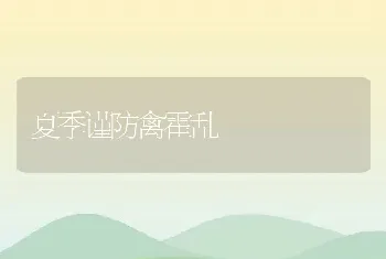 夏季谨防禽霍乱