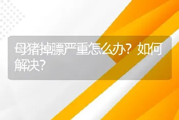 母猪掉膘严重怎么办？如何解决？