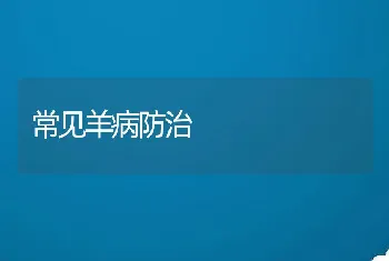 常见羊病防治