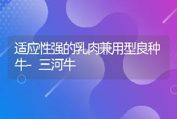 奶牛稳产的饲养方法