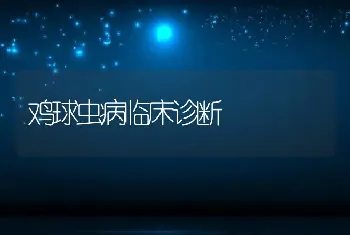 鸡球虫病临床诊断