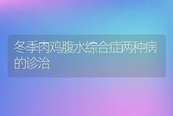 冬季肉鸡腹水综合症两种病的诊治