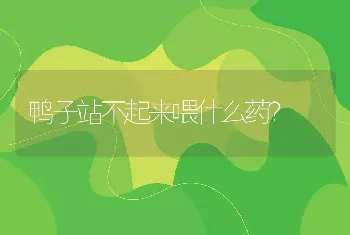 鸭子站不起来喂什么药？