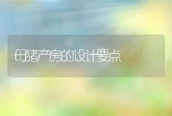 母猪产房的设计要点