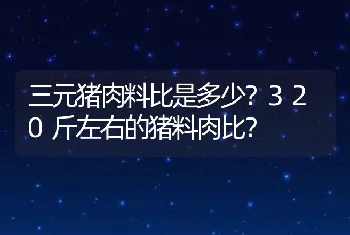 三元猪肉料比是多少？320斤左右的猪料肉比？