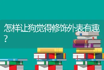 怎样让狗觉得修饰外表有趣?