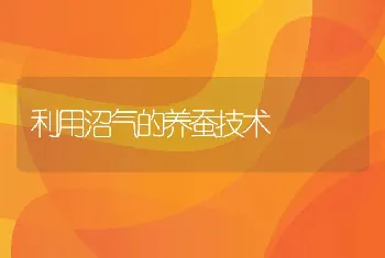 利用沼气的养蚕技术