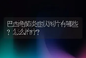 巴西龟肺炎症状图片有哪些？怎么治疗？