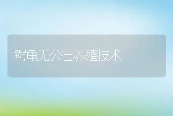 鳄龟无公害养殖技术