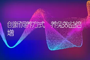 创新饲养方式 养兔效益倍增