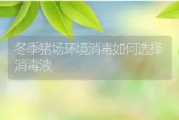 冬季猪场环境消毒如何选择消毒液