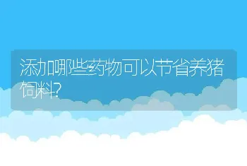 添加哪些药物可以节省养猪饲料?