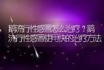 鹅流行性感冒怎么治疗？鹅流行性感冒使用快的治疗方法