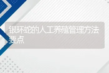 银环蛇的人工养殖管理方法要点