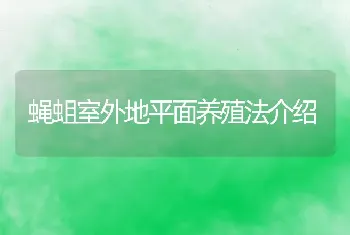 蝇蛆室外地平面养殖法介绍