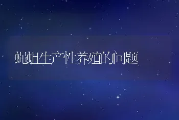 蝇蛆生产性养殖的问题