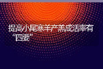 提高小尾寒羊产羔成活率有“四要”