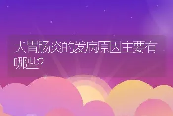 犬胃肠炎的发病原因主要有哪些？