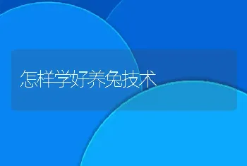 怎样学好养兔技术