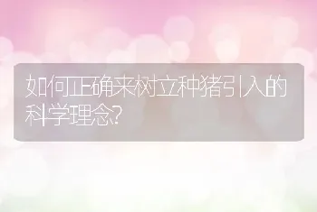 如何正确来树立种猪引入的科学理念?