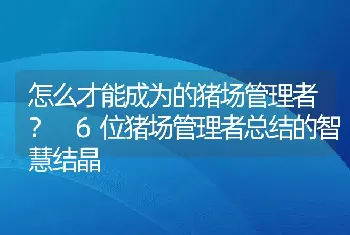 怎么才能成为的猪场管理者？ 6位猪场管理者总结的智慧结晶