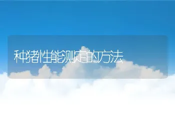 种猪性能测定的方法