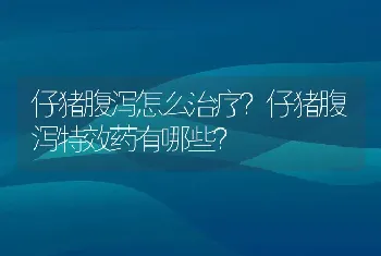 仔猪腹泻怎么治疗？仔猪腹泻特效药有哪些？