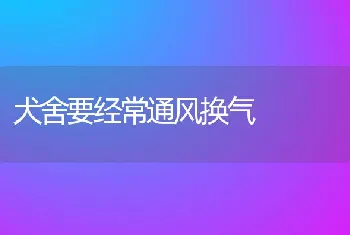 犬舍要经常通风换气