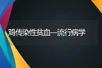 鸡传染性贫血―流行病学