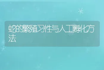 蛇的繁殖习性与人工孵化方法