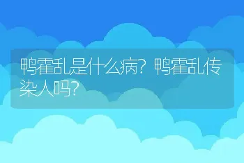 鸭霍乱是什么病？鸭霍乱传染人吗？