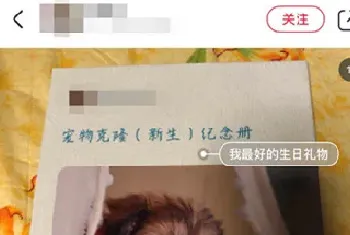 宠物狗克隆怎么样？专家认为38万克隆宠物狗没必要