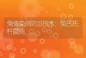 兔传染病防治技术：兔巴氏杆菌病