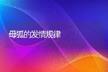 母狐的发情规律