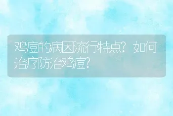 鸡痘的病因流行特点?如何治疗防治鸡痘?